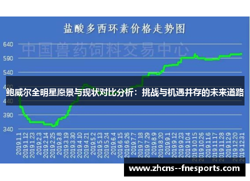 鲍威尔全明星愿景与现状对比分析：挑战与机遇并存的未来道路